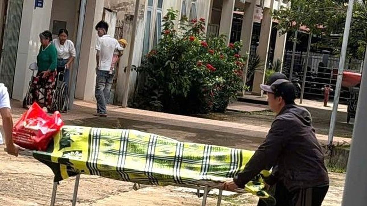 Người đàn ông tử vong khi trèo cây cắt sầu riêng thuê - Báo VietnamNet