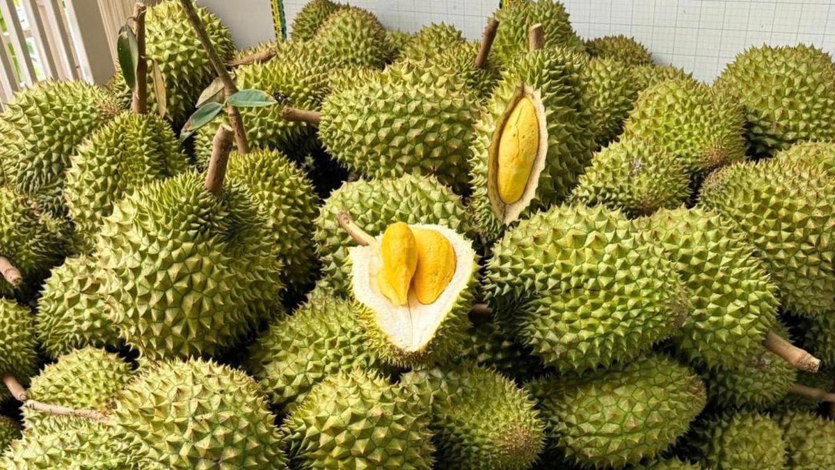 1 tỷ người Trung Quốc chưa ăn sầu riêng, có 'hộ chiếu' chưa chắc bán giá cao - Báo VietnamNet