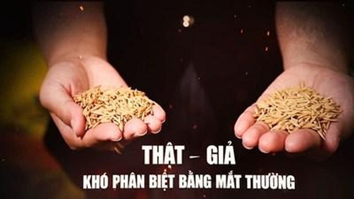 Thông báo thay đổi lịch phát sóng chương trình 'Hồ sơ Công tố - Kiểm sát' - Báo Bảo Vệ Pháp Luật