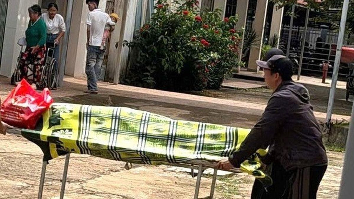 Cắt sầu riêng thuê, người đàn ông 51 tuổi tử vong thương tâm - Chuyên trang Góc nhìn pháp lý - Tạp chí Người đưa tin