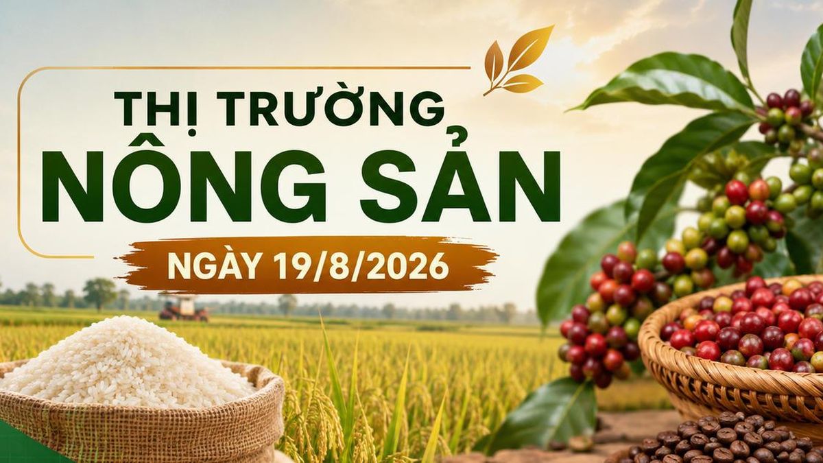 Thị trường nông sản 19/8: Cà phê tăng mạnh, heo hơi giảm - Chuyên Trang Doanh nhân & Công lý - Báo Công Lý