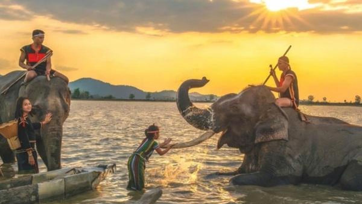 Lễ hội rượu cần 'Men say đại ngàn - Hồn M'nông bên hồ Lắk' sẽ được tổ chức vào cuối tháng 8/2026 - Nông nghiệp Hữu cơ Việt Nam