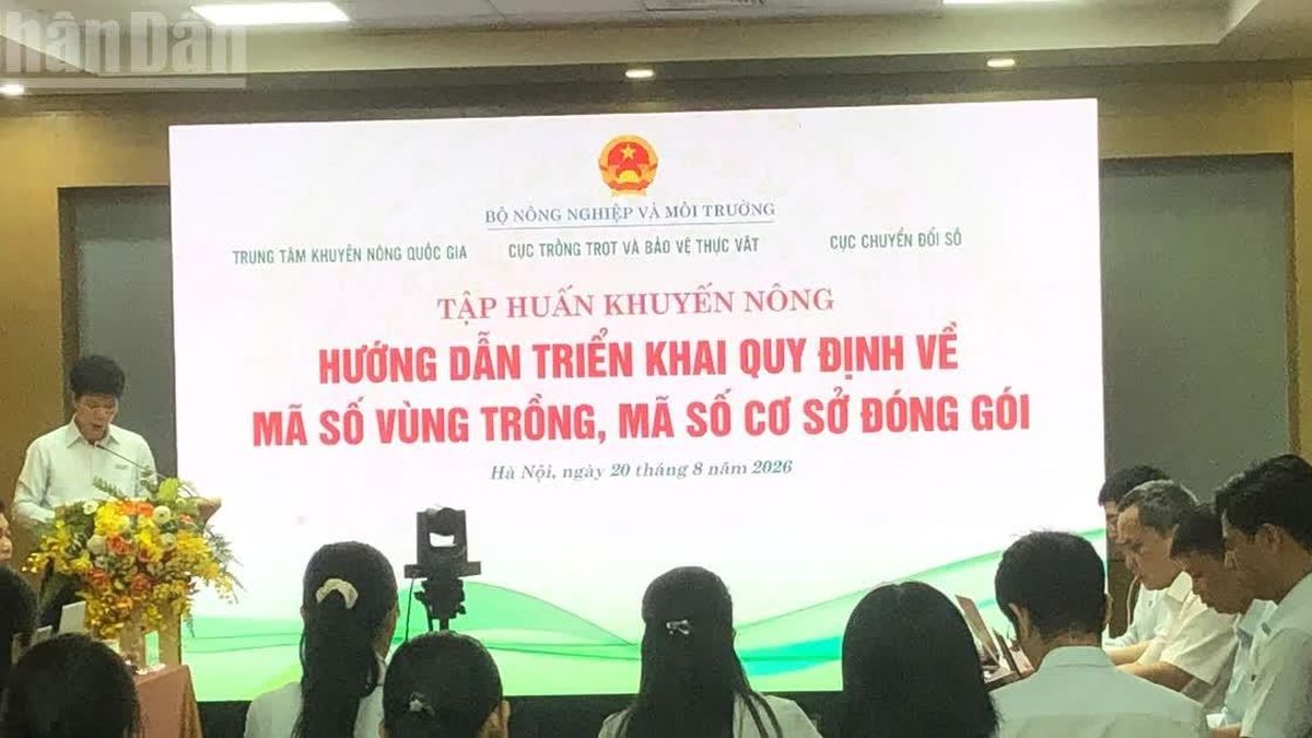 Tập huấn triển khai quy định về mã số vùng trồng, mã số cơ sở đóng gói - Báo Nhân Dân