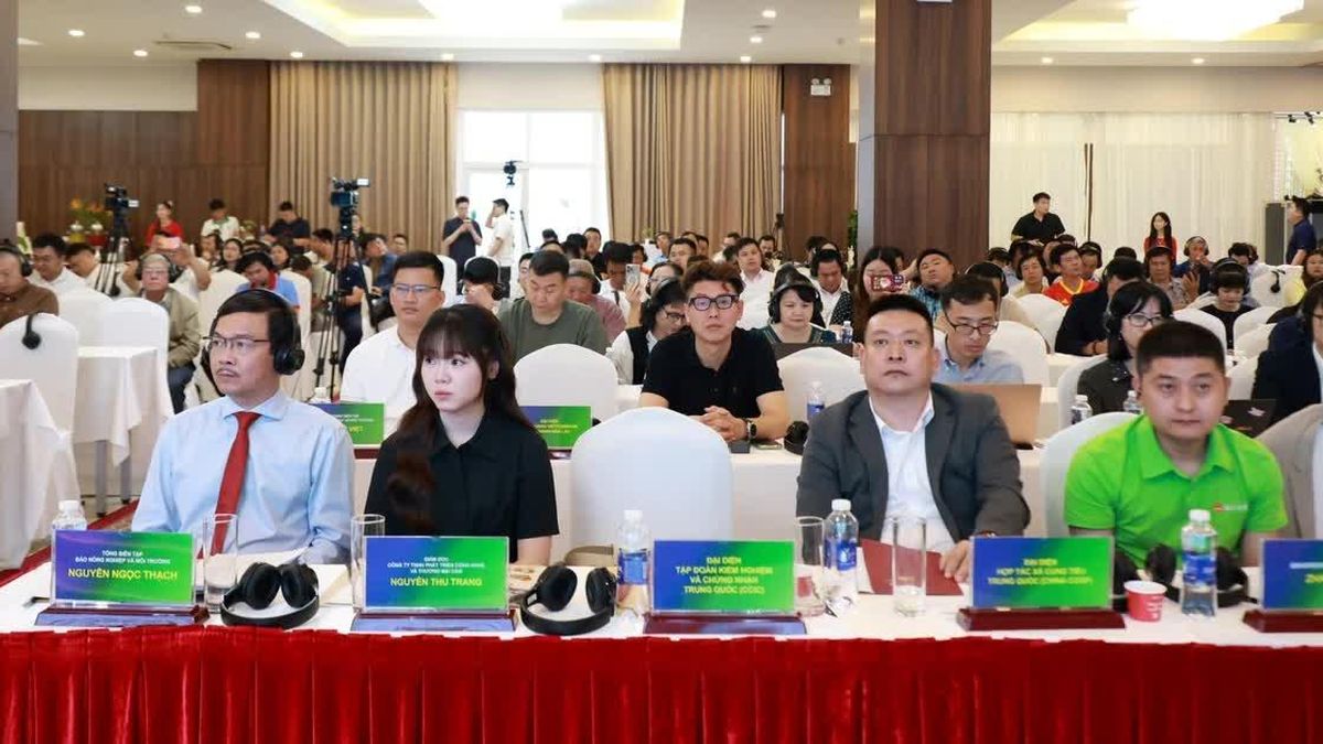 Hơn 60 doanh nghiệp Trung Quốc đến Đắk Lắk hợp tác sầu riêng - Báo Tiền Phong