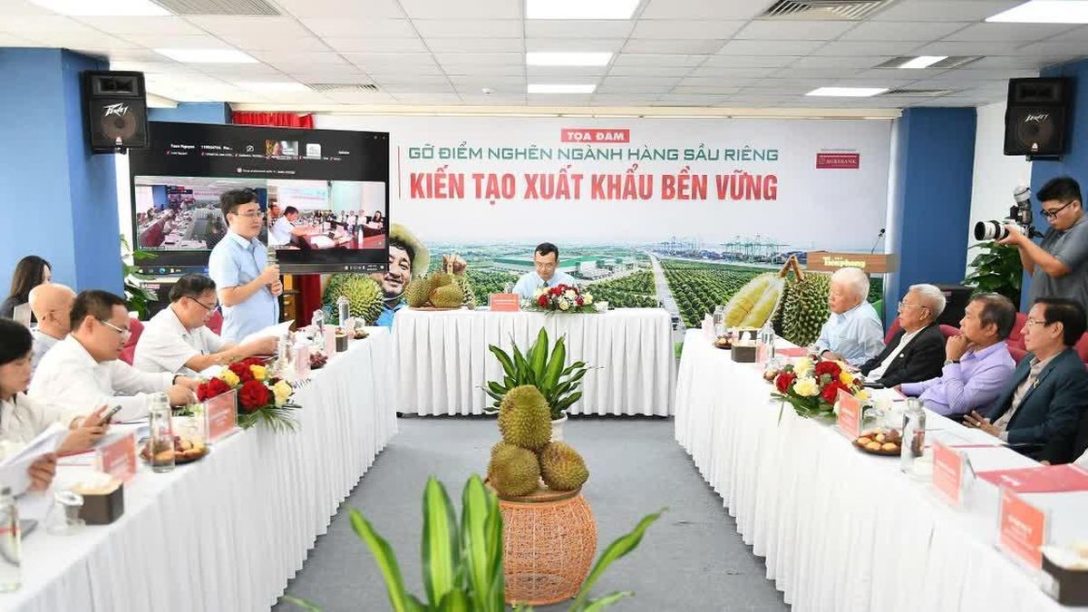 Sầu riêng Việt Nam: Tăng trưởng tỷ USD và bài toán quản trị ngành hàng - Báo Tiền Phong