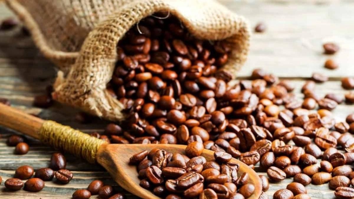 Ngày 20/8: Giá cà phê tiếp tục khởi sắc, hồ tiêu ở mức 139.000 đồng/kg - Thời báo Tài chính