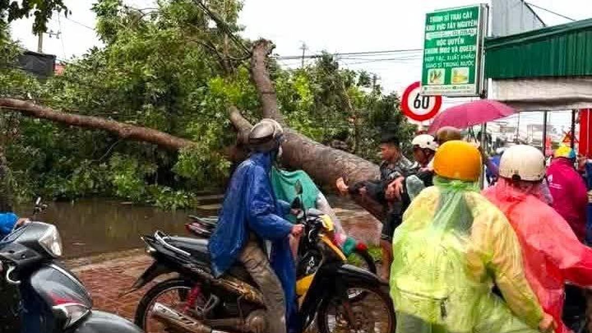 Nam thanh niên bị cây đè tử vong trong cơn dông lốc - Báo Công An Nhân Dân