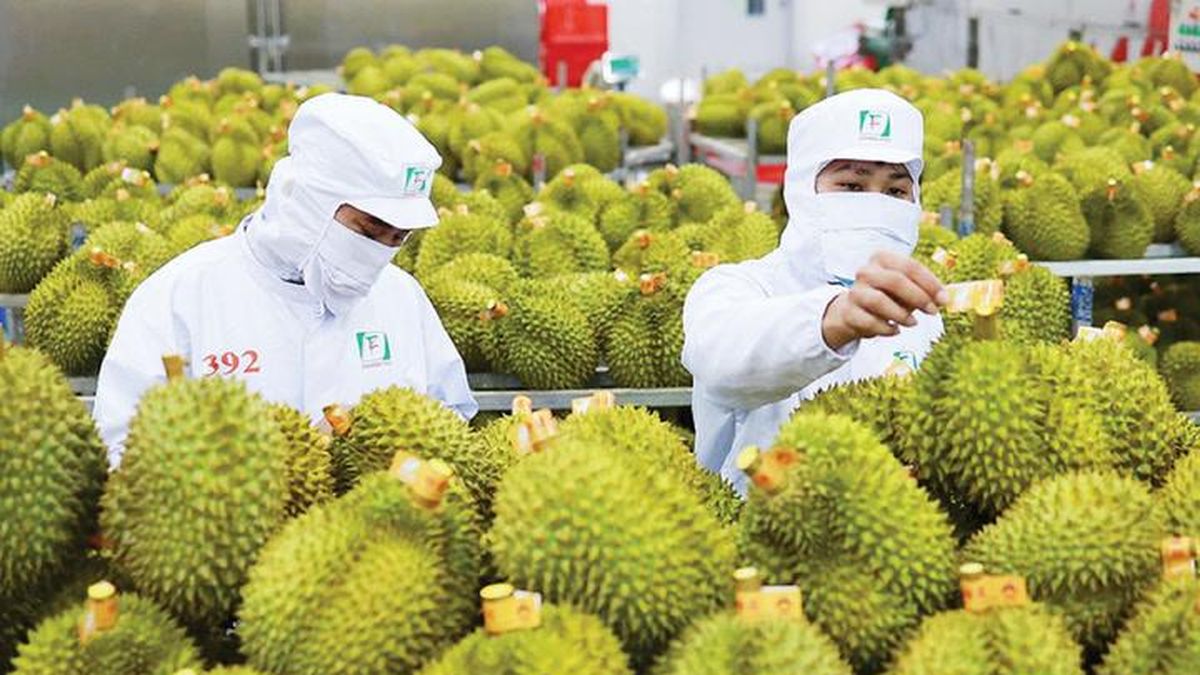 Truy xuất nguồn gốc nông sản: 158.234 sản phẩm đã được kết nối dữ liệu - Báo Đại Đoàn Kết