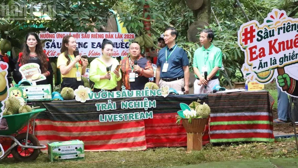 [Ảnh] Ấn tượng phiên livestream xúc tiến thương mại và bán sầu riêng tại xã Ea Knuếc - Báo Nhân Dân