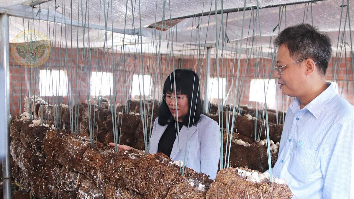 Từ hỗ trợ máy móc đến nâng tầm chuỗi giá trị - Đại Biểu Nhân Dân