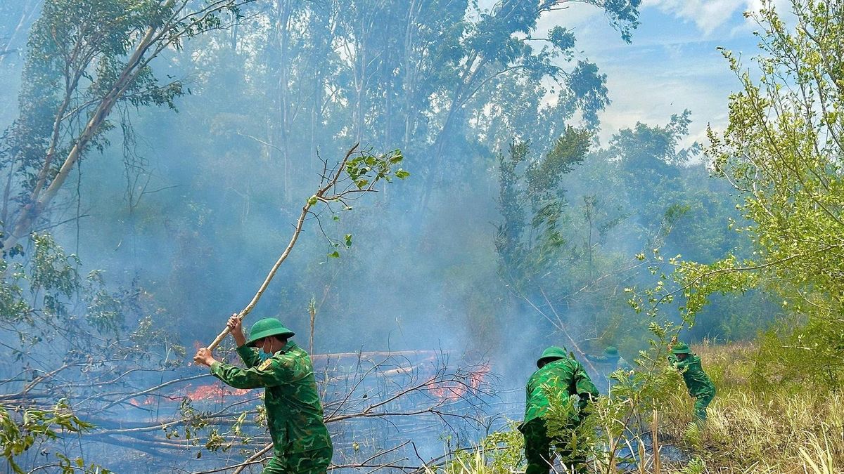 Đắk Lắk: Bộ đội Biên phòng và các lực lượng khống chế vụ cháy rừng bạch đàn tại xã Ô Loan - Báo Quân Đội Nhân Dân