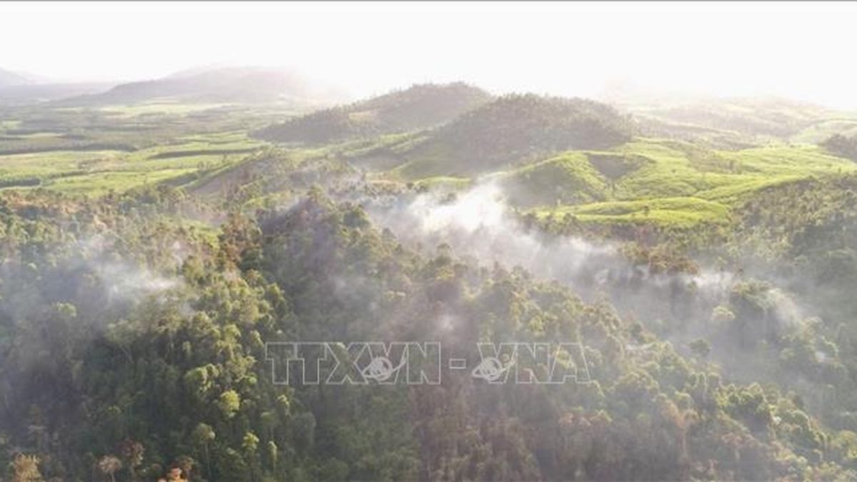 Liên tiếp xảy ra cháy rừng diện tích lớn tại Đắk Lắk - Báo Tin Tức TTXVN