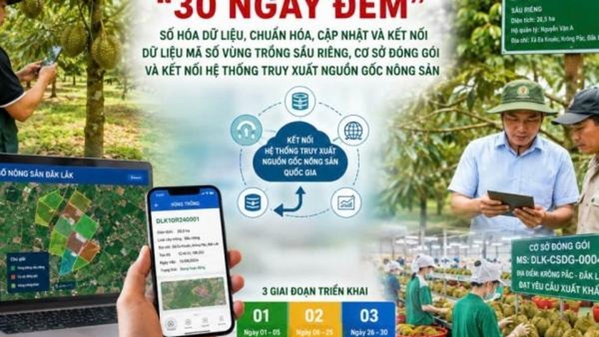 Đắk Lắk triển khai chiến dịch cao điểm '30 ngày đêm' số hóa dữ liệu vùng trồng sầu riêng - Nông nghiệp Hữu cơ Việt Nam
