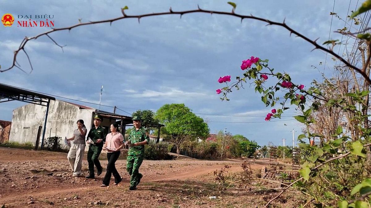 Chuyện người phụ nữ là 'lá chắn' vùng biên Đắk Lắk - Đại Biểu Nhân Dân