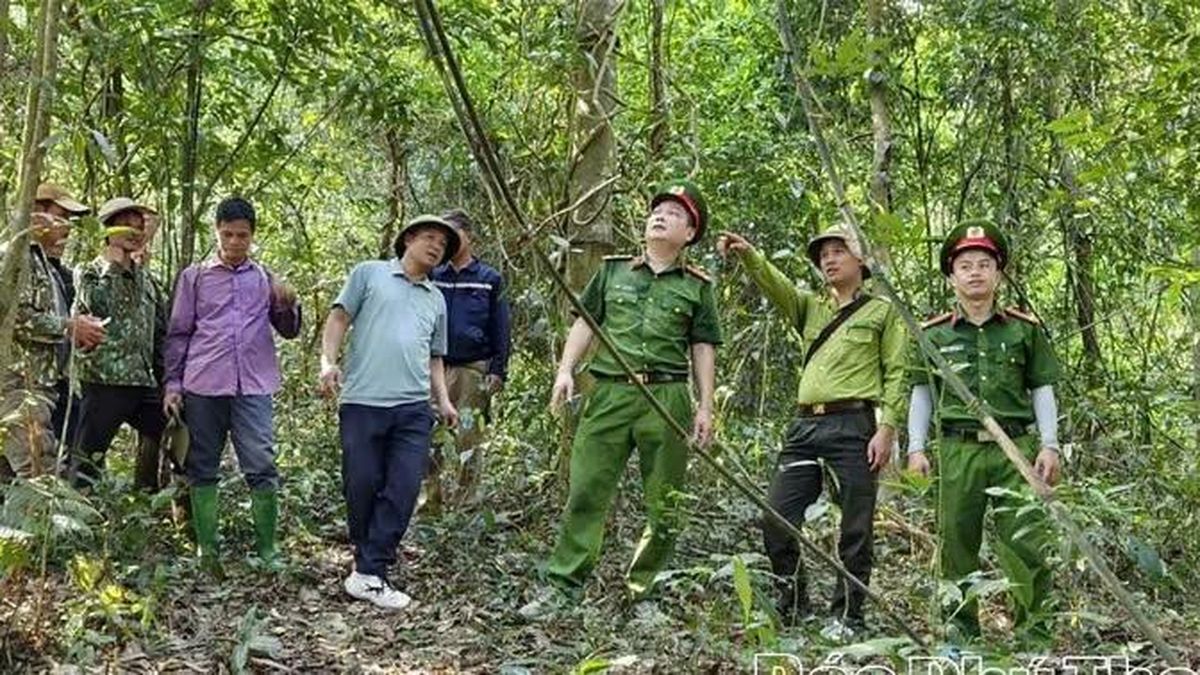 Đắk Lắk triển khai biện pháp cấp bách phòng cháy, chữa cháy rừng giữa nắng nóng kéo dài - Nông nghiệp Hữu cơ Việt Nam