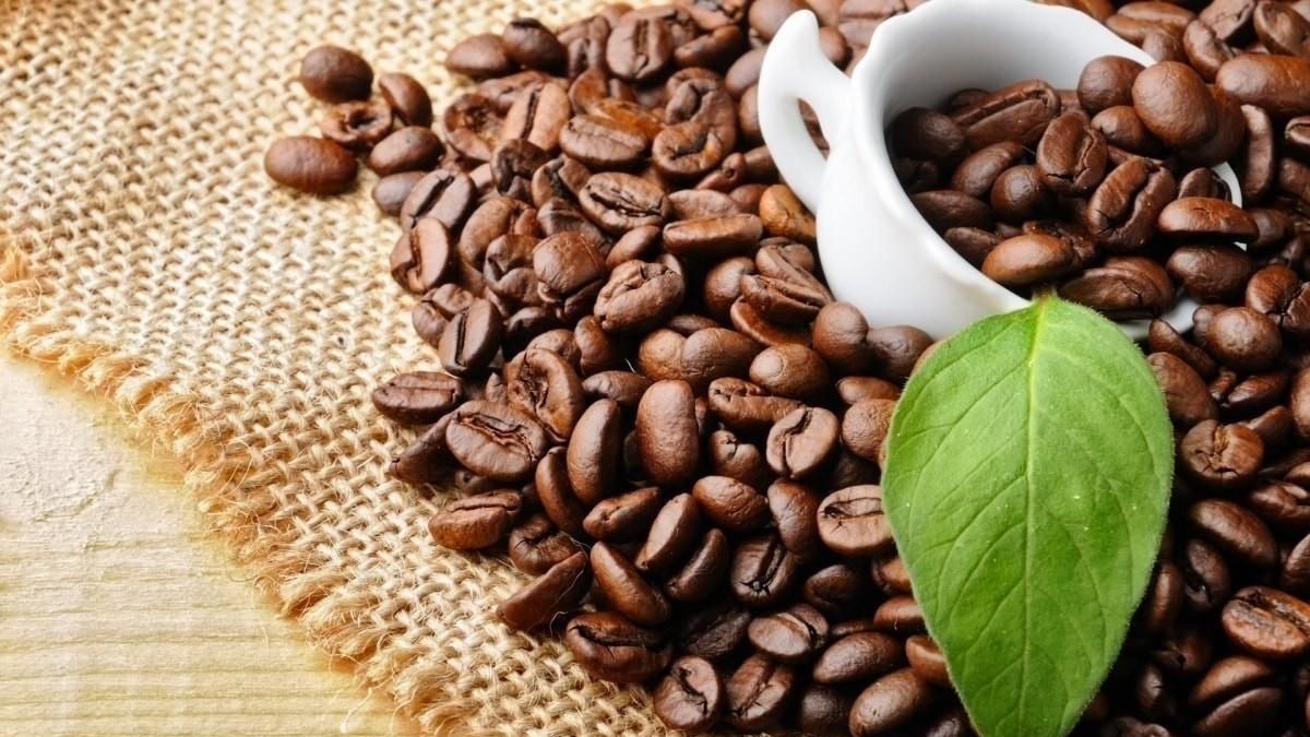 Ngày 31/8: Giá cà phê và hồ tiêu đồng loạt giảm - Thời báo Tài chính