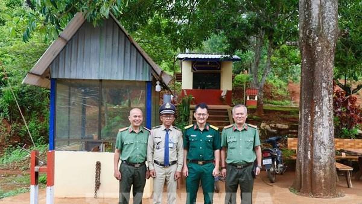 Hợp tác mở không gian phát triển vùng biên giới - Bài cuối: Hợp tác bén rễ trên những vườn cây - Bnews