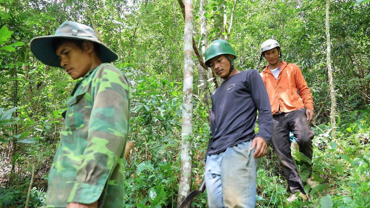 Bám rừng xuyên Lễ - Báo Lâm Đồng
