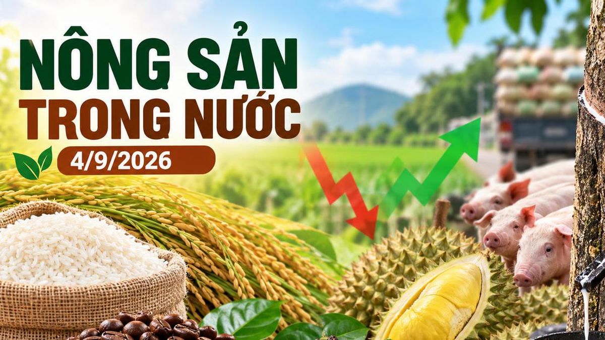 Nông sản trong nước 4/9: Cà phê mất mốc 95.000 đồng/kg, lúa tươi giảm 100 đồng - Chuyên Trang Doanh nhân & Công lý - Báo Công Lý