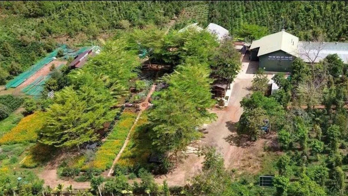 Khuyến công tạo lực đẩy cho công nghiệp nông thôn Đắk Lắk - Đại Biểu Nhân Dân