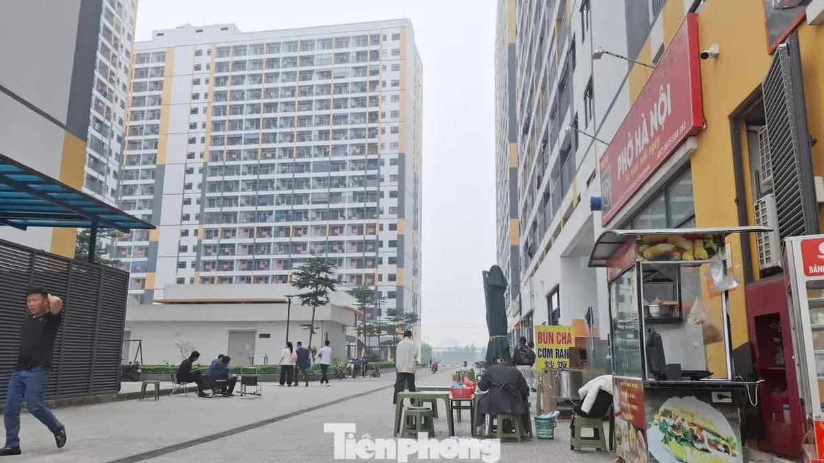 В августе в Бакнинге одобрено к продаже более 16,7 тыс. квартир социального жилья