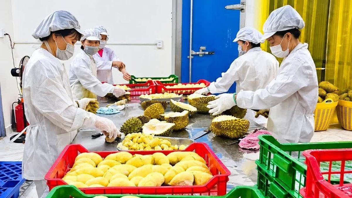 Doanh nghiệp giải thể tại Đắk Lắk tăng tới 700% - Báo Tiền Phong