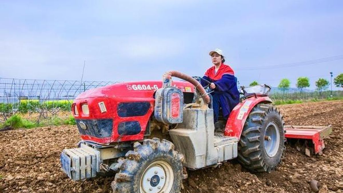 Юрист из Уханя отказалась от высокой зарплаты ради сада: как девушка создала бизнес на 19 млрд донгов и дала работу сотням женщин