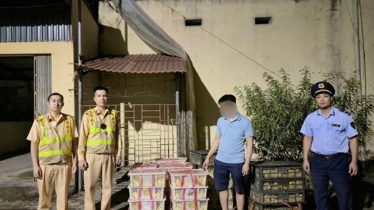 В Quảng Ninh на автобусе без документов обнаружили 2620 голов птицы
