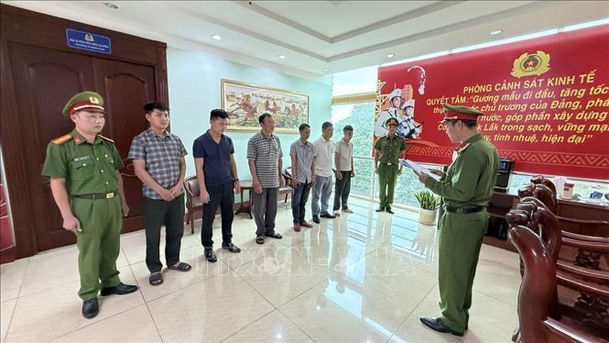 Khởi tố 10 đối tượng để điều tra, làm rõ hành vi đưa, nhận hối lộ, khai thác lâm sản trái phép - Báo Tin Tức TTXVN