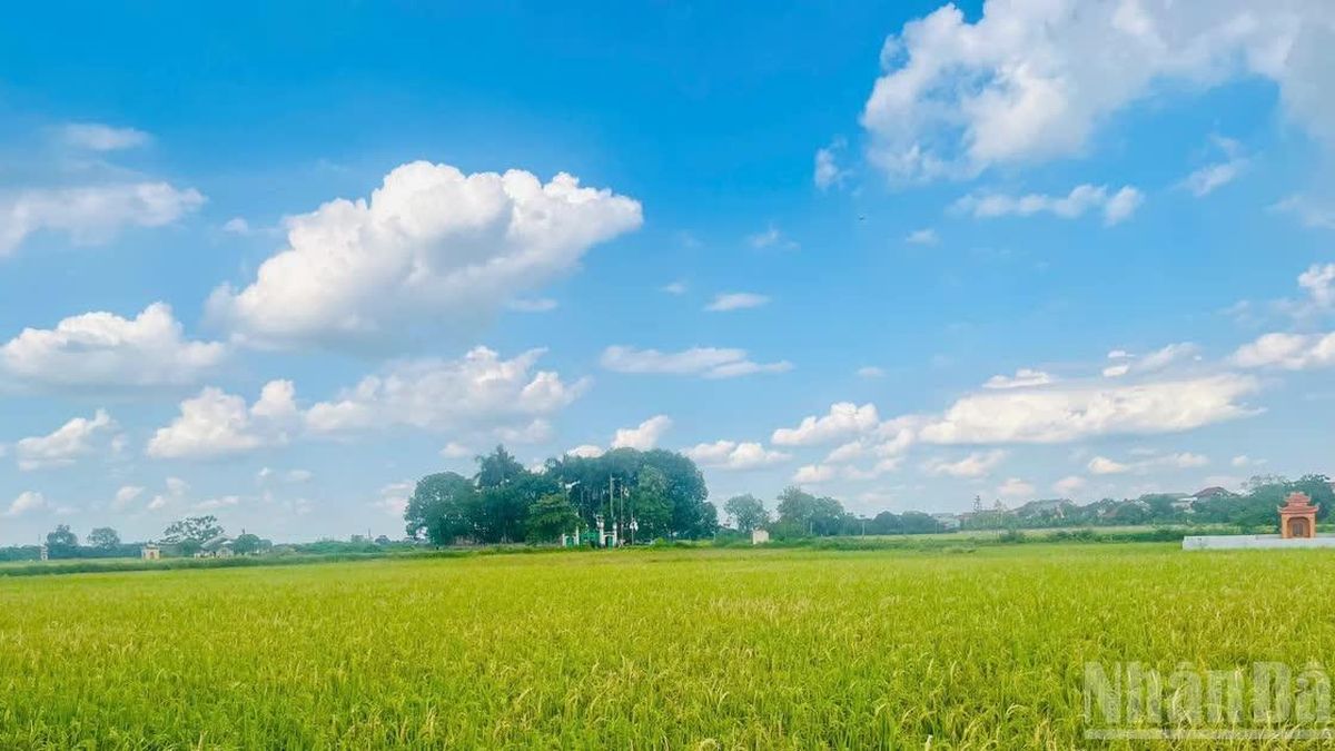 Việc trao quyền cho địa phương phải được thiết kế phù hợp