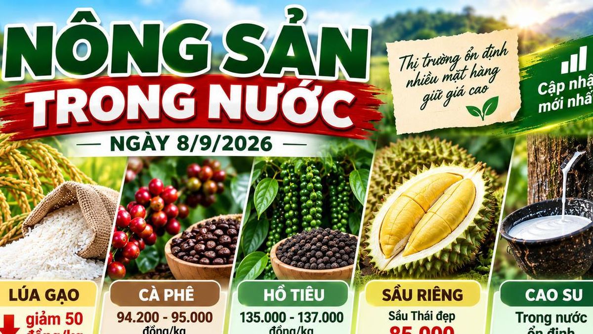 Nông sản trong nước ngày 8/9: Gạo nguyên liệu giảm giá, sầu Thái đẹp giữ mức 85.000 đồng/kg - Chuyên Trang Doanh nhân & Công lý - Báo Công Lý