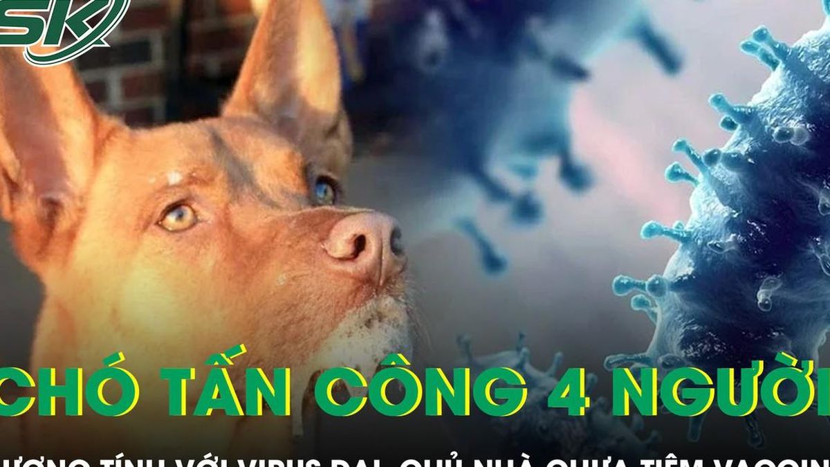 Chó tấn công, 4 người ở Đắk Lắk dương tính với virus dại - Báo Sức Khỏe & Đời Sống