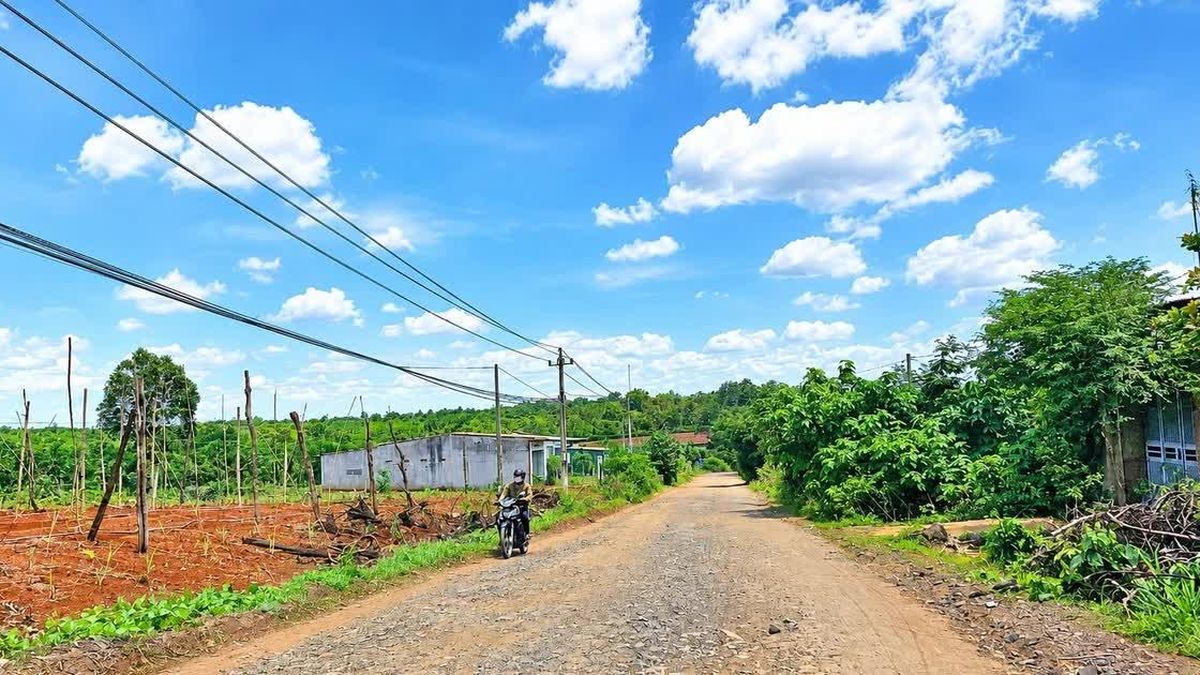 Kiểm toán Nhà nước sắp 'soi' loạt dự án ở Đắk Lắk - Báo Tiền Phong