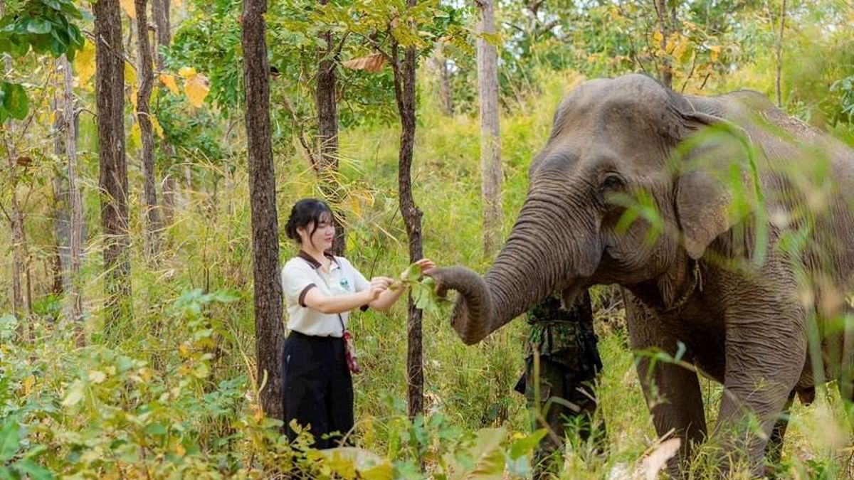 'Thắp lửa' du lịch cộng đồng - Báo Văn hóa