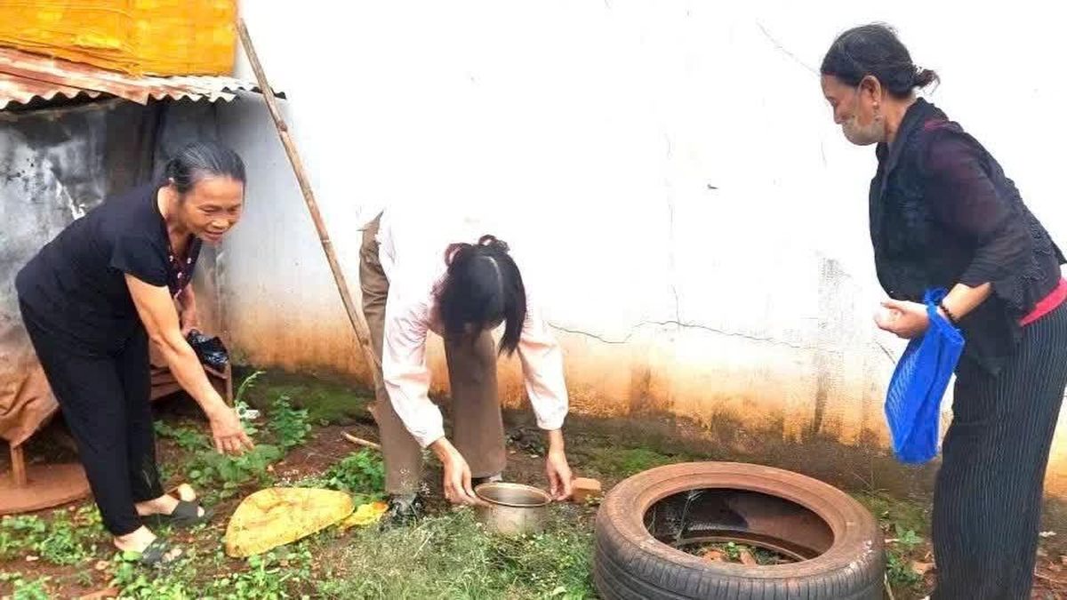 Đắk Lắk ghi nhận 6.715 trường hợp mắc sốt xuất huyết Dengue - Báo Nhân Dân