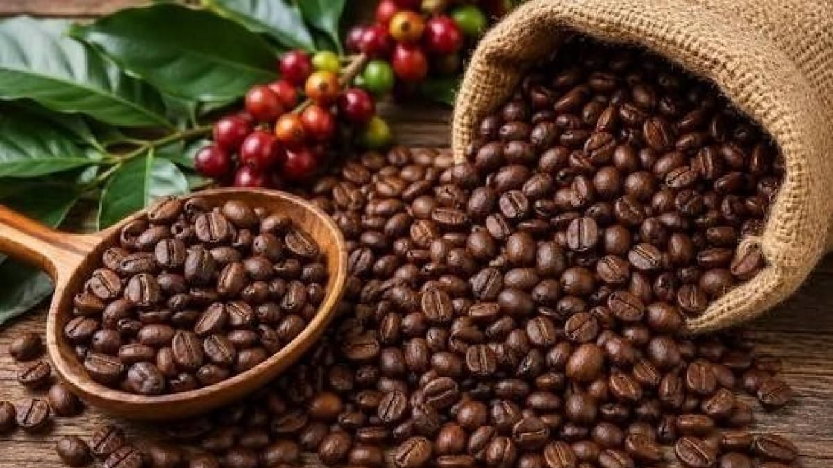 Ngày 17/9: Giá cà phê đảo chiều giảm mạnh, hồ tiêu ở mốc 141.000 đồng/kg - Thời báo Tài chính