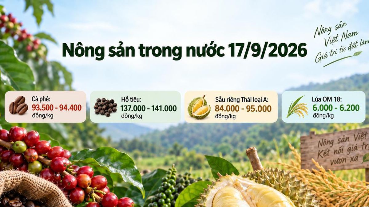 Nông sản trong nước 17/9: Cà phê giảm, sầu riêng Thái chạm 95.000 đồng/kg - Chuyên Trang Doanh nhân & Công lý - Báo Công Lý