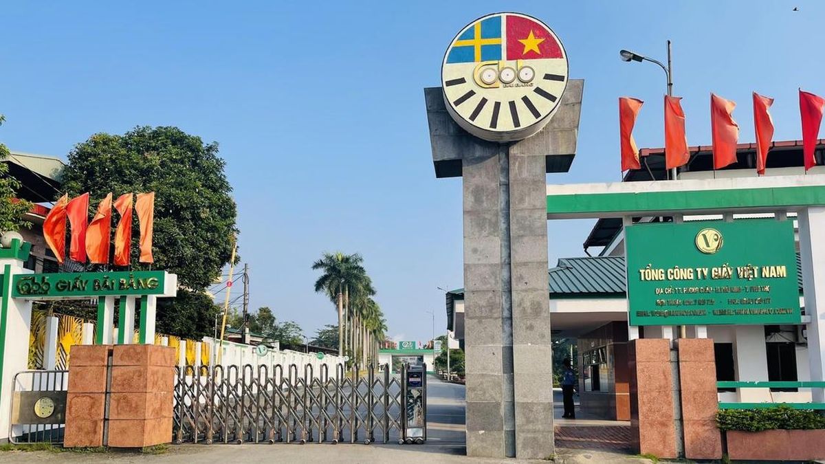 Thanh tra làm rõ vi phạm tại Tổng công ty Giấy Việt Nam - Báo Đại Đoàn Kết