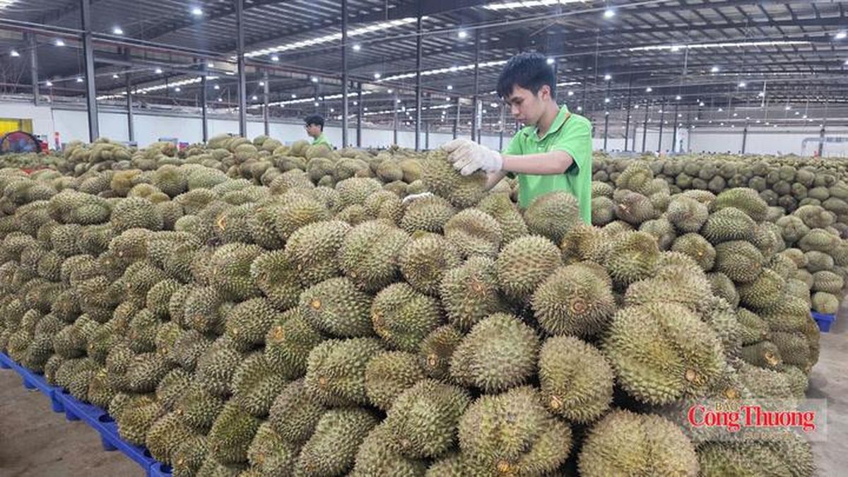 Đắk Lắk đặt mục tiêu xuất khẩu đạt hơn 1 tỷ USD trong 4 tháng cuối năm - Báo Công Thương
