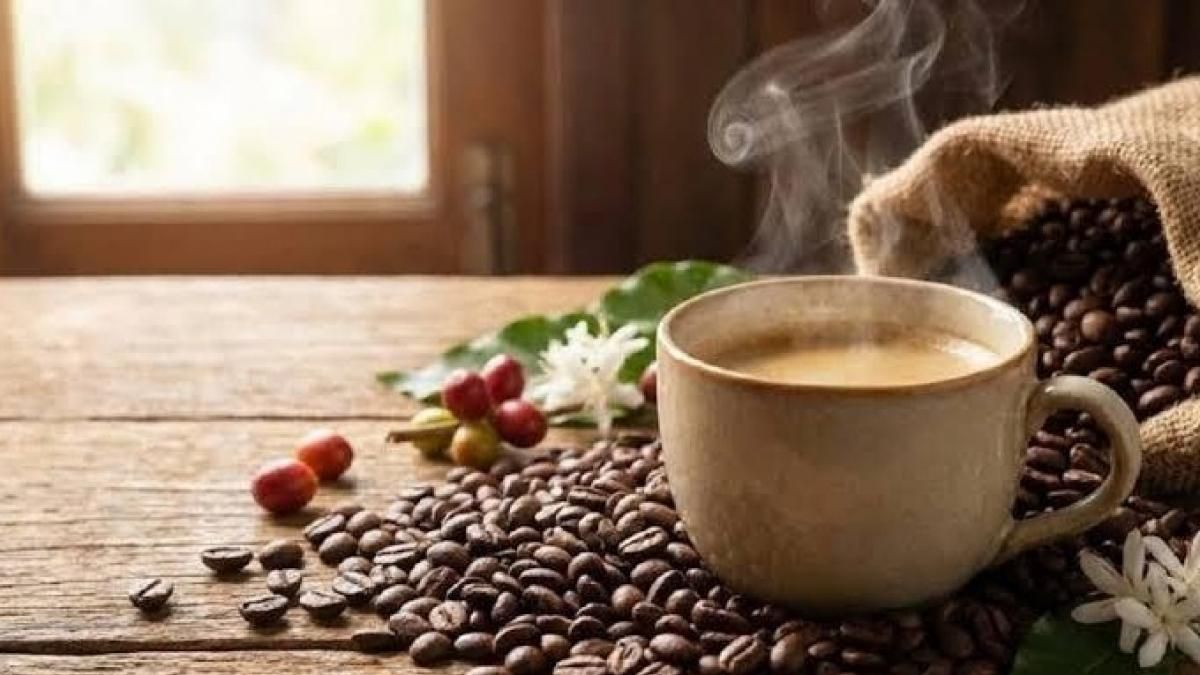 Ngày 21/9: Giá cà phê giảm mạnh, hồ tiêu ở mốc 141.000 đồng/kg - Thời báo Tài chính