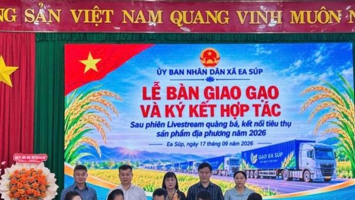 Đắk Lắk: Xã Ea Súp kết nối tiêu thụ khoảng 850 tấn gạo ST24, ST25 sau phiên livestream - Nông nghiệp Hữu cơ Việt Nam