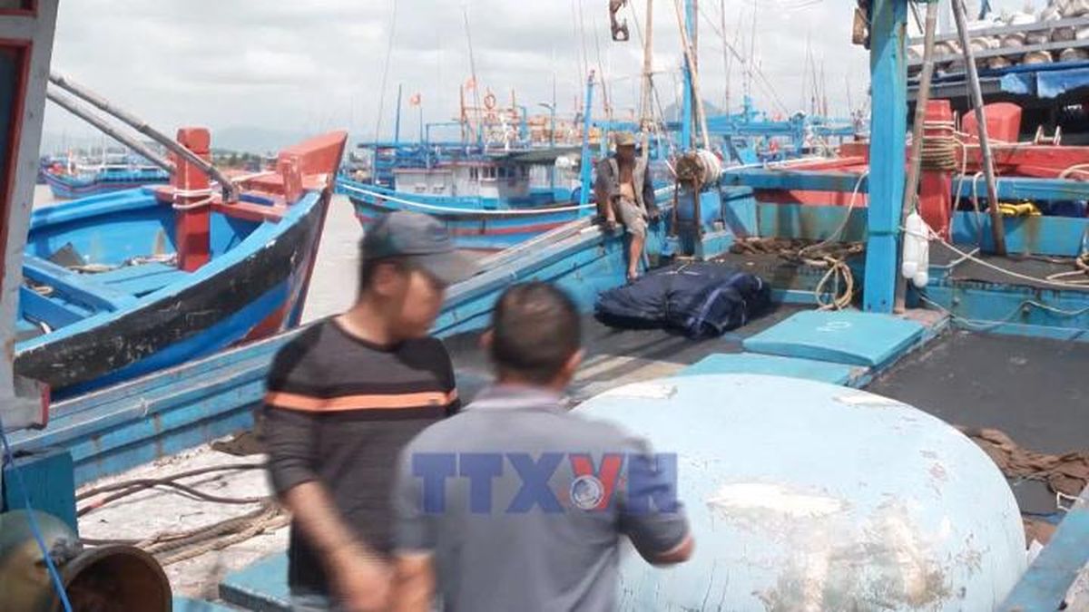 Vươn khơi khai thác thủy sản mùa biển động - Bnews