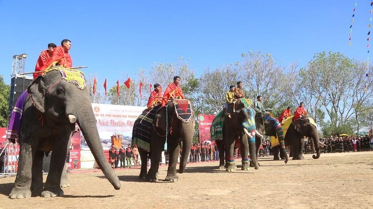 Buôn làng dần vắng bóng voi - Báo Văn hóa