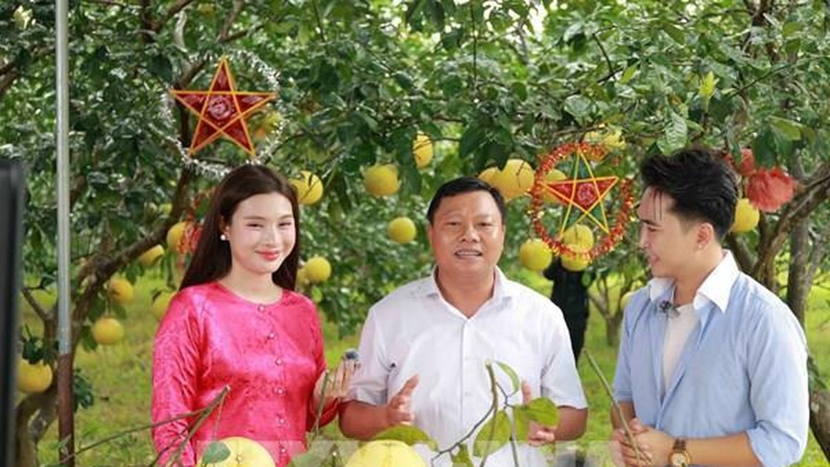 Nền tảng số mở đường cho đặc sản Hà Tĩnh vươn xa