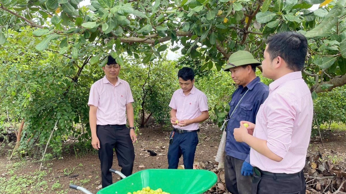 Tín dụng chính sách: Điểm tựa cải thiện thu nhập cho người dân phía Tây Đắk Lắk - Báo Thời Báo Ngân Hàng
