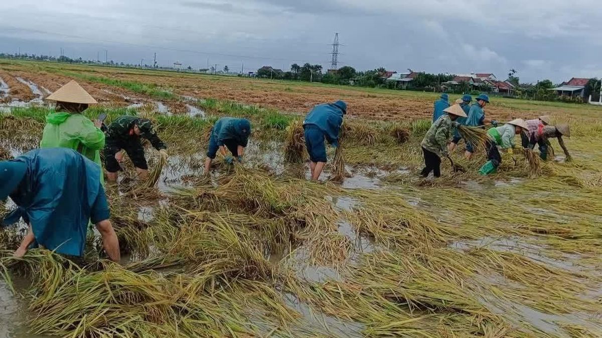 Đắk Lắk chủ động ứng phó, khắc phục hậu quả mưa lớn, ngập lụt, lũ quét, sạt lở đất - Báo Nhân Dân