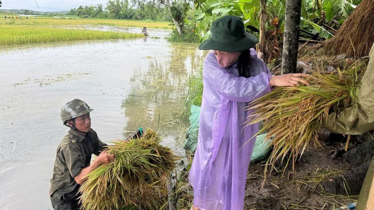 Mưa lớn kéo dài ở Đắk Lắk, sơ tán nhiều hộ dân, lúa ngập nặng - Báo Tiền Phong