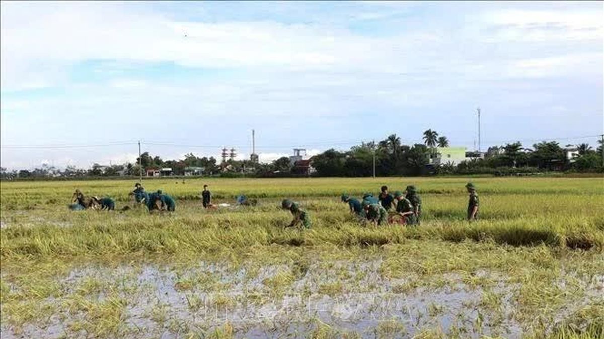 Đắk Lắk chủ động ứng phó nguy cơ sạt lở - Báo Tin Tức TTXVN