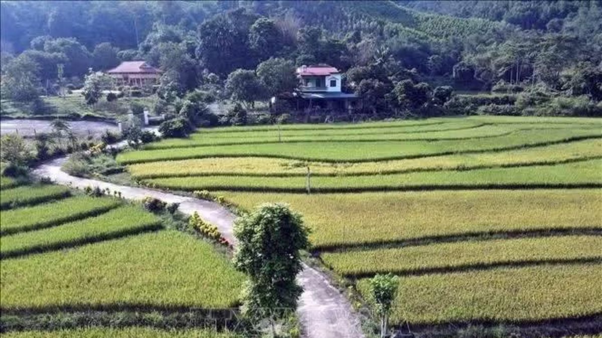 Tuyên Quang: Mục tiêu có 60 xã đạt chuẩn nông thôn mới vào năm 2030