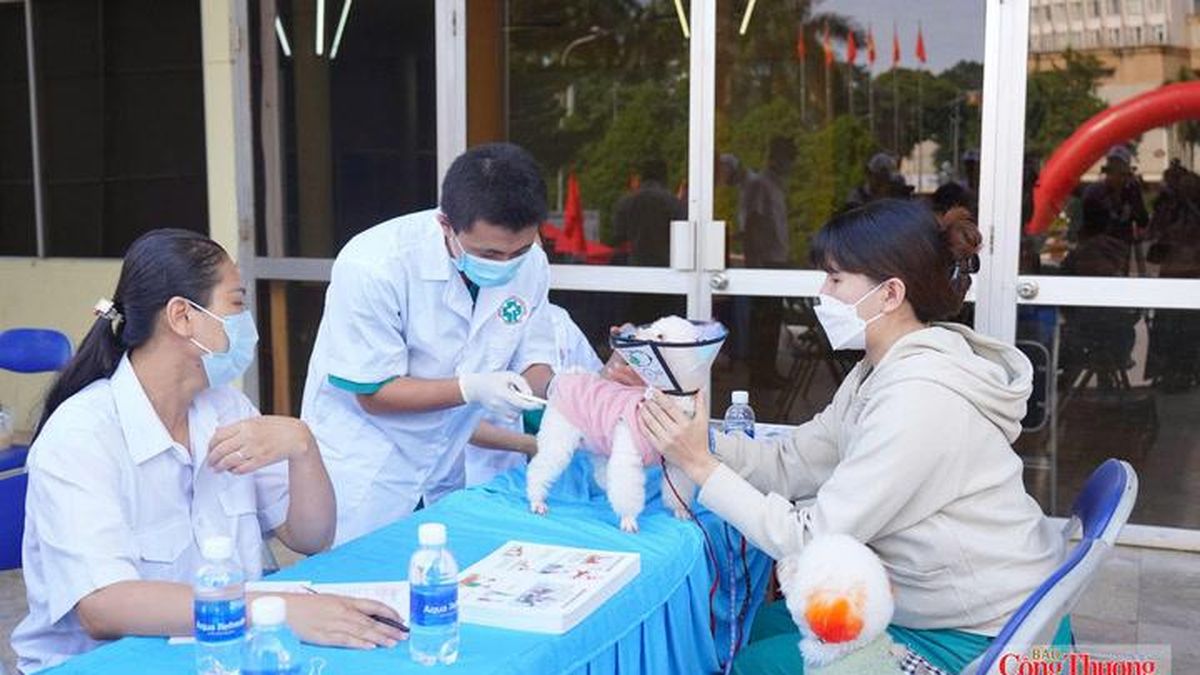 Đắk Lắk tăng cường phòng bệnh dại, hướng tới không còn ca tử vong - Báo Công Thương